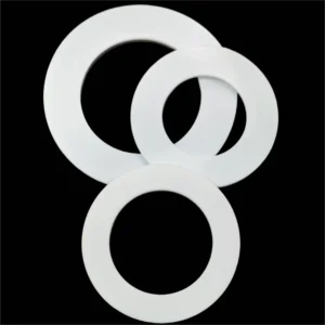 Chemical Resistance Gasket (2)