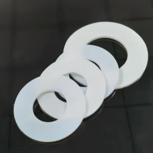 Chemical Resistance Gasket (3)